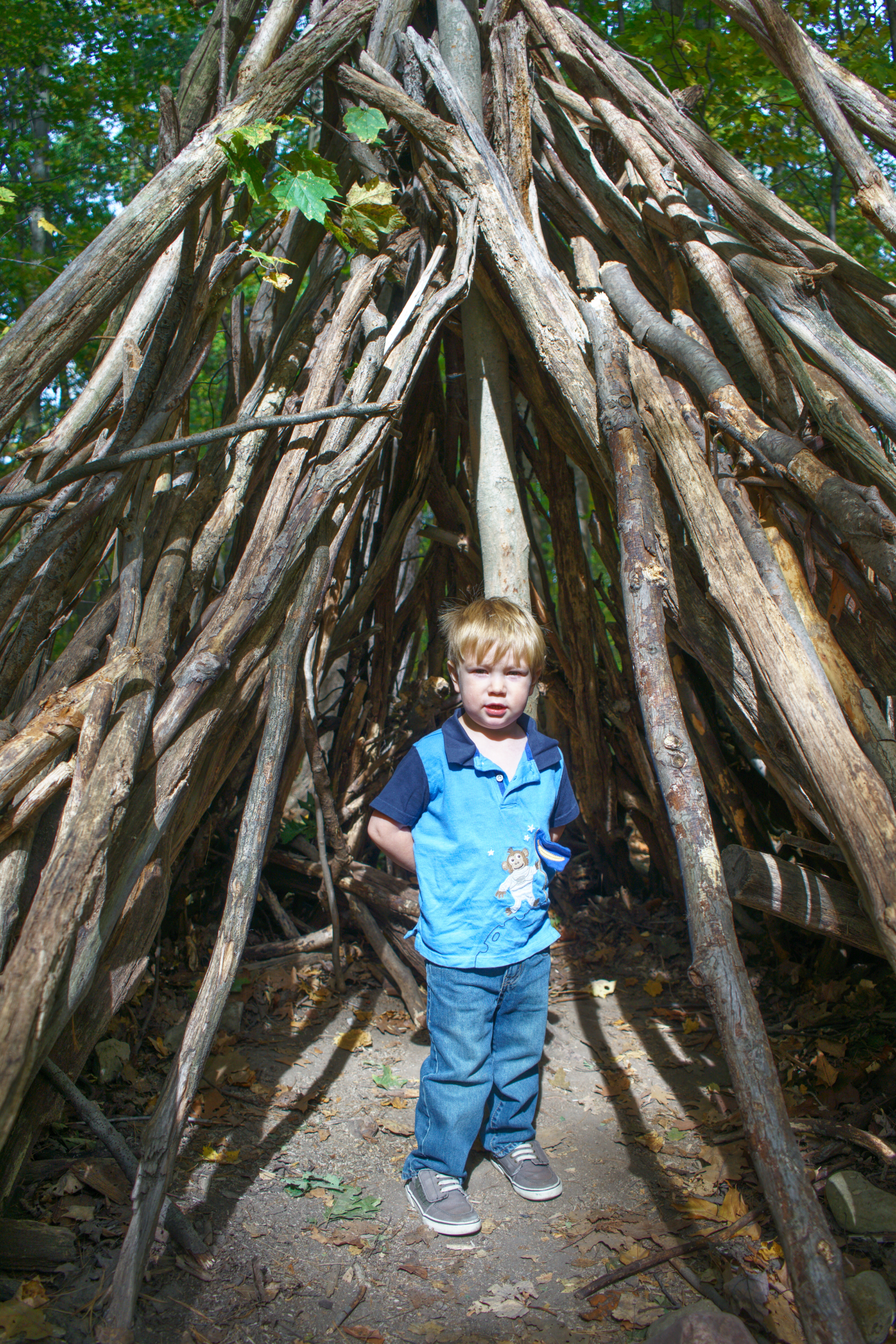 tree teepee