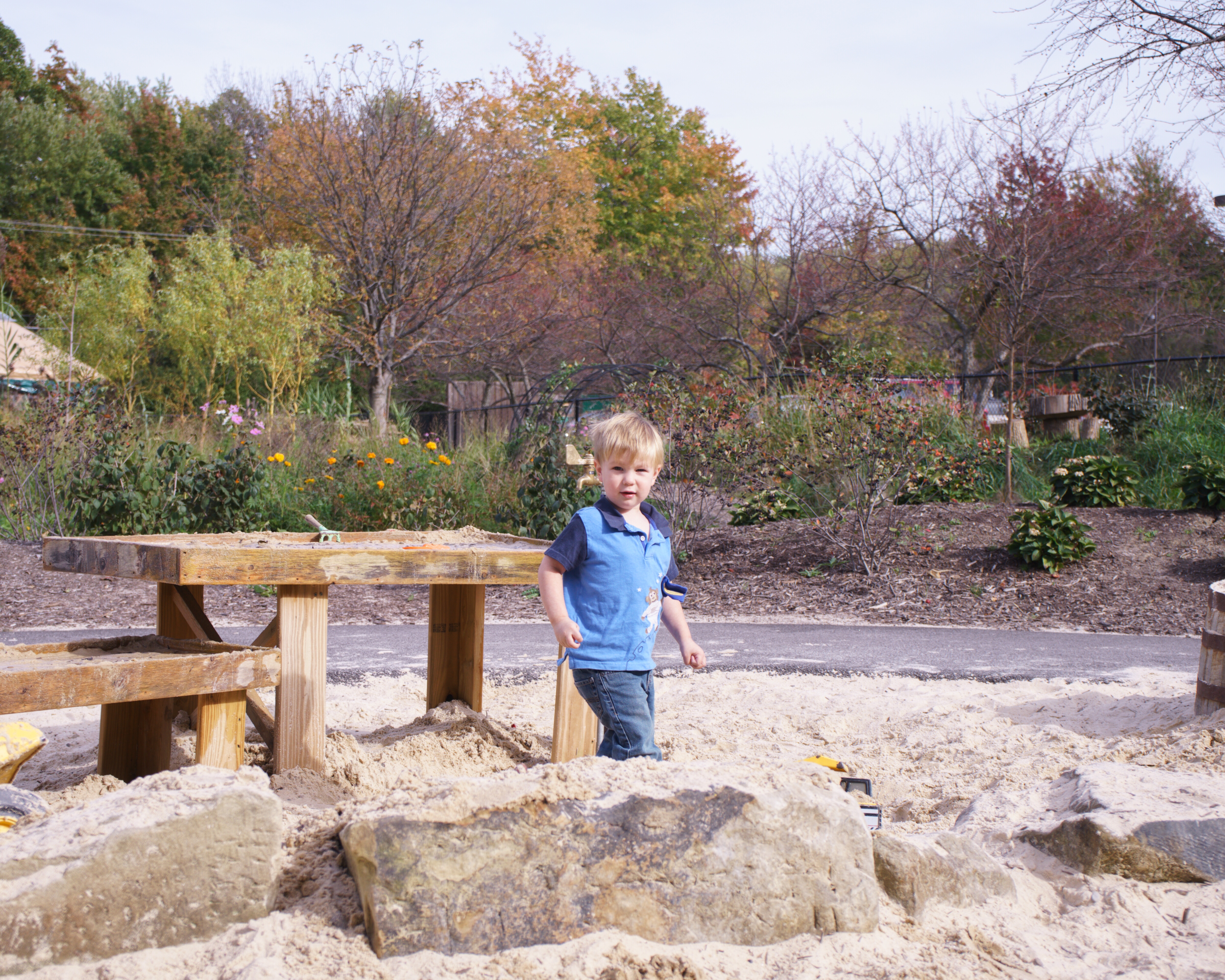 playing in the sand